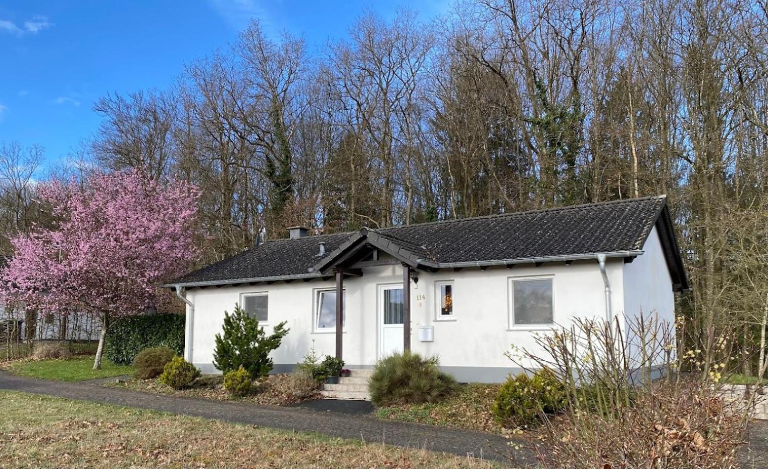 'T Boszicht Villa Gerolstein Buitenkant foto